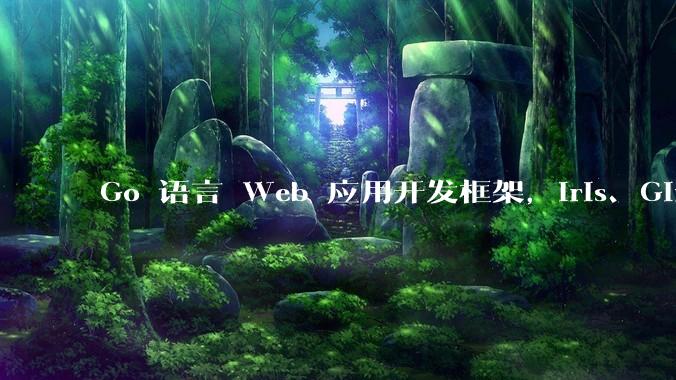 Go 语言 Web 应用开发框架，Iris、Gin、Echo，哪一个更适合大型项目？